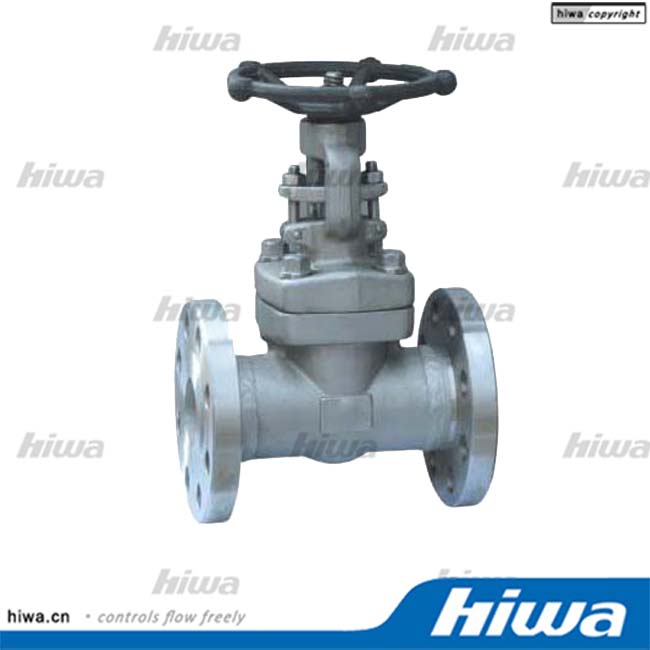 API602 Forged Steel Flange and Butt-Welded Gate Valve